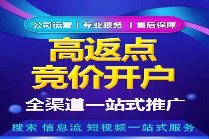 竞价推广中的着陆页策略：成功案例解读